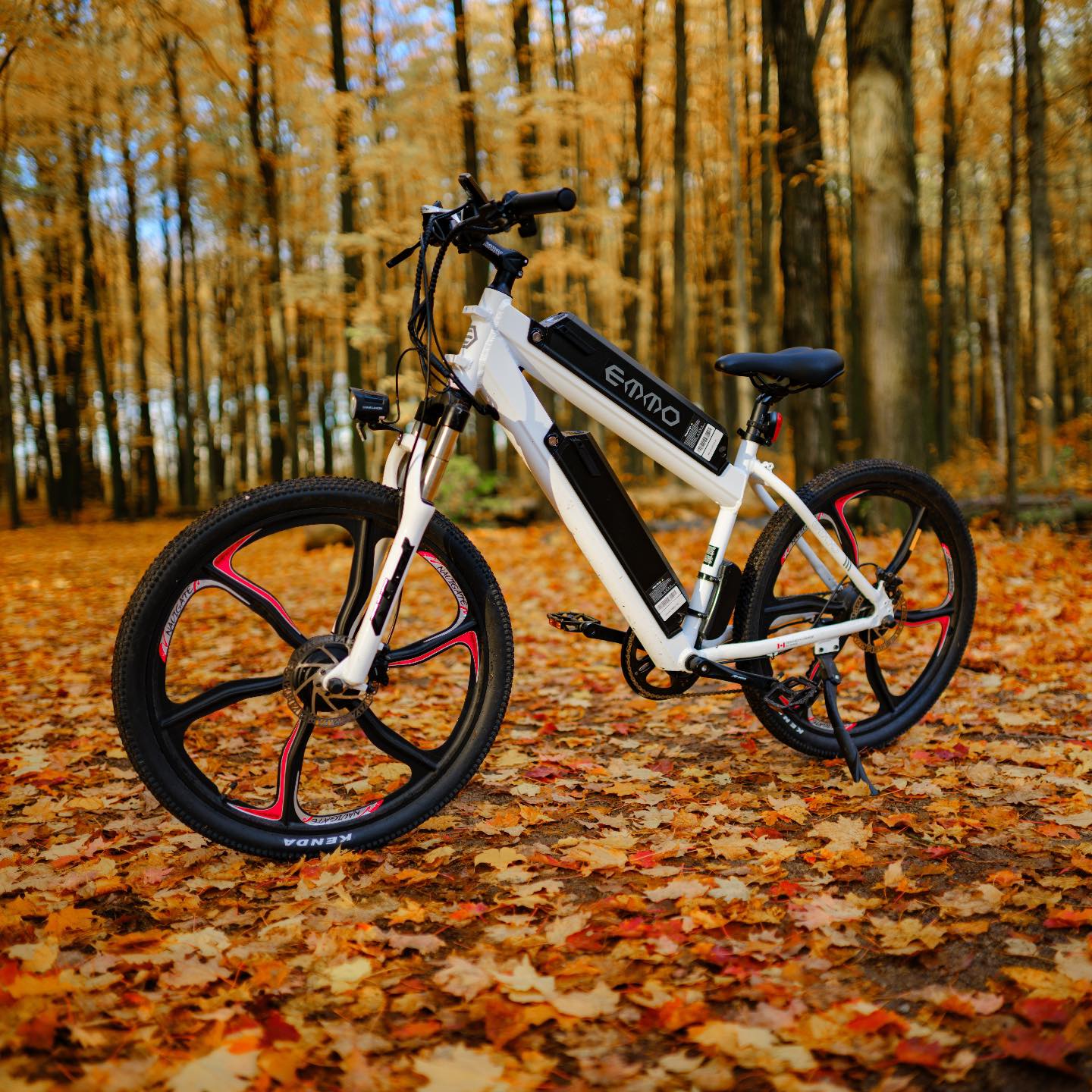 Enjoy the Fall colors with your E-Bike