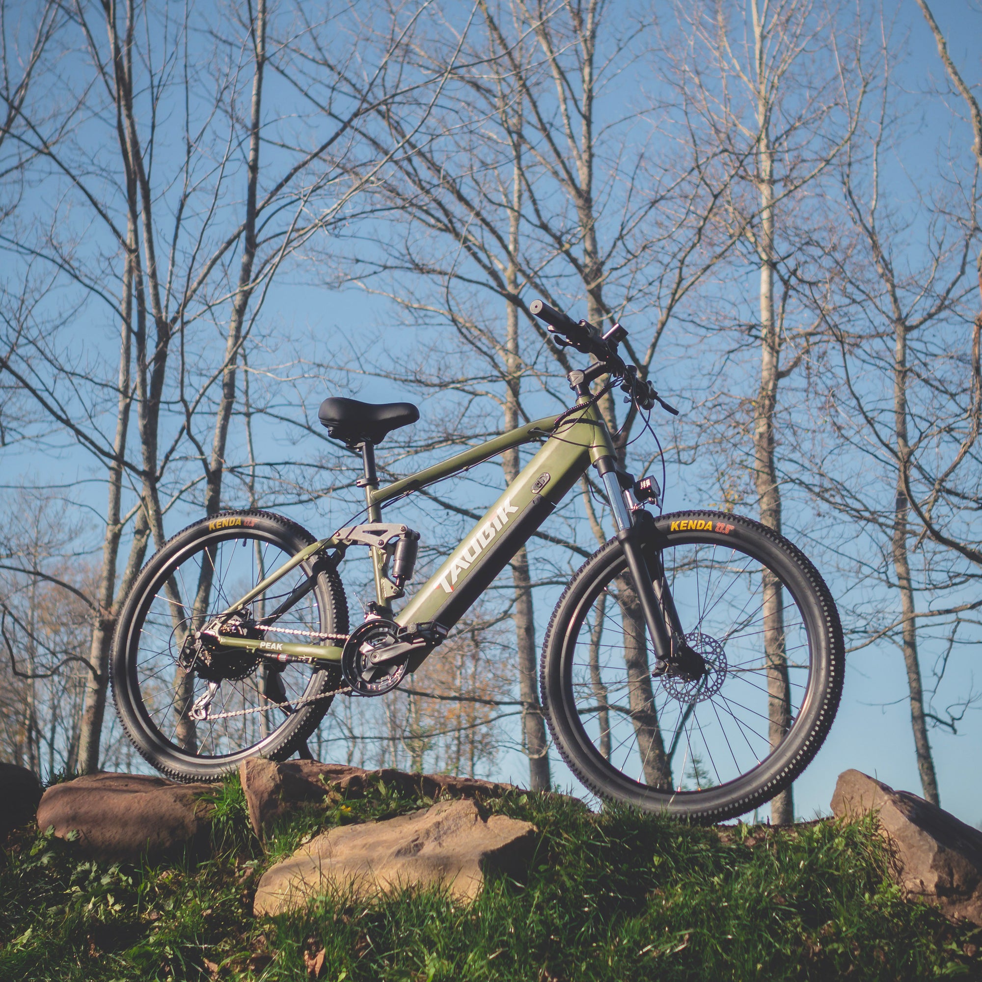 Full Suspension Electric Bicycles