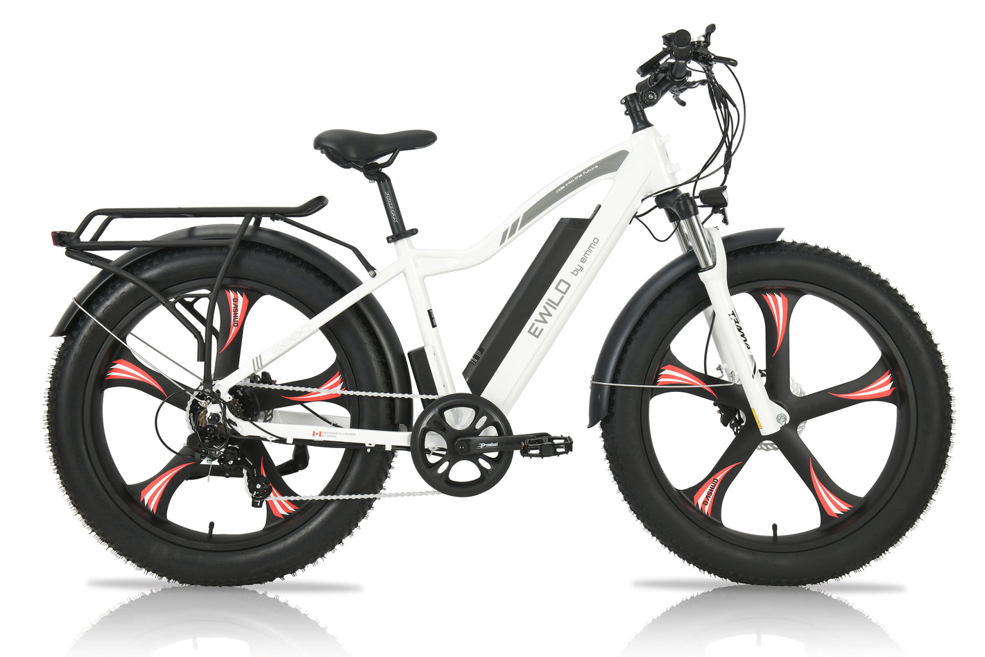 Fat Tire Electric Bicycles