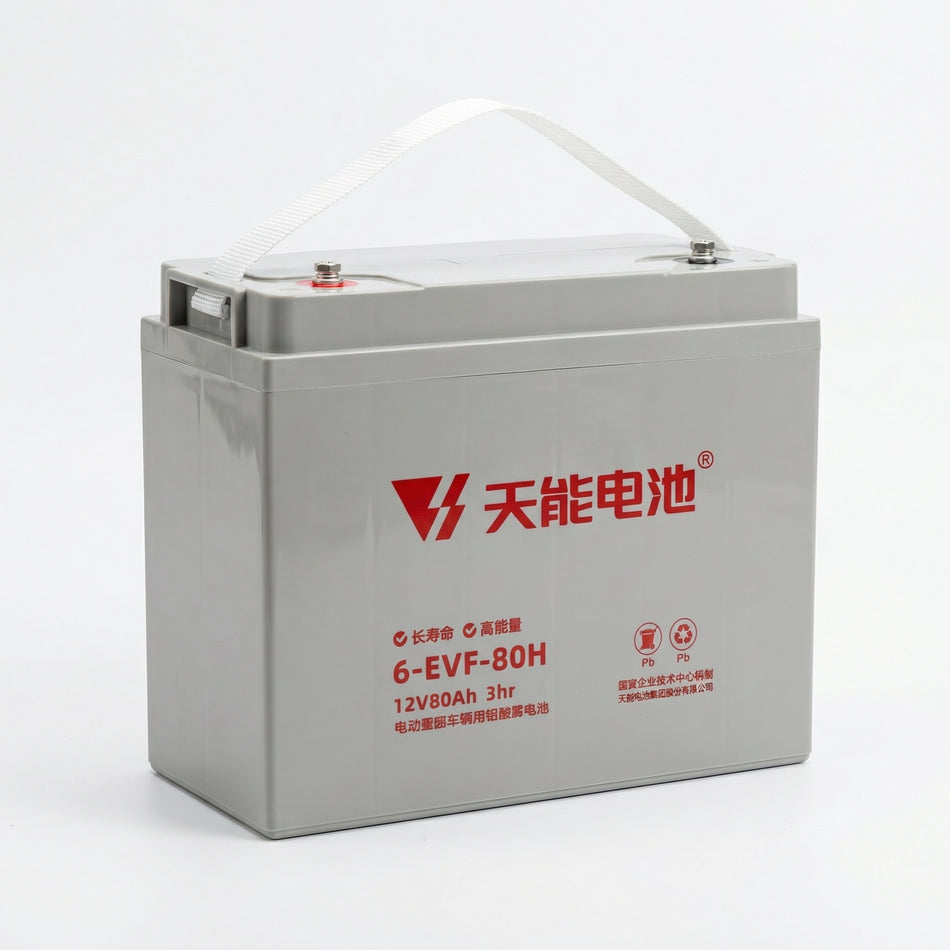 Tianneng 12V80Ah Sealed Lead Acid Battery | Evoque Enza
