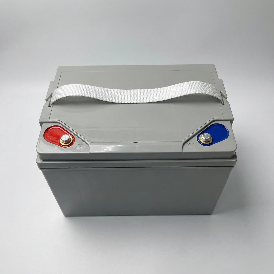 Tianneng 12V80Ah Sealed Lead Acid Battery | Evoque Enza