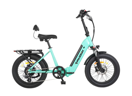 affordable electric bikes