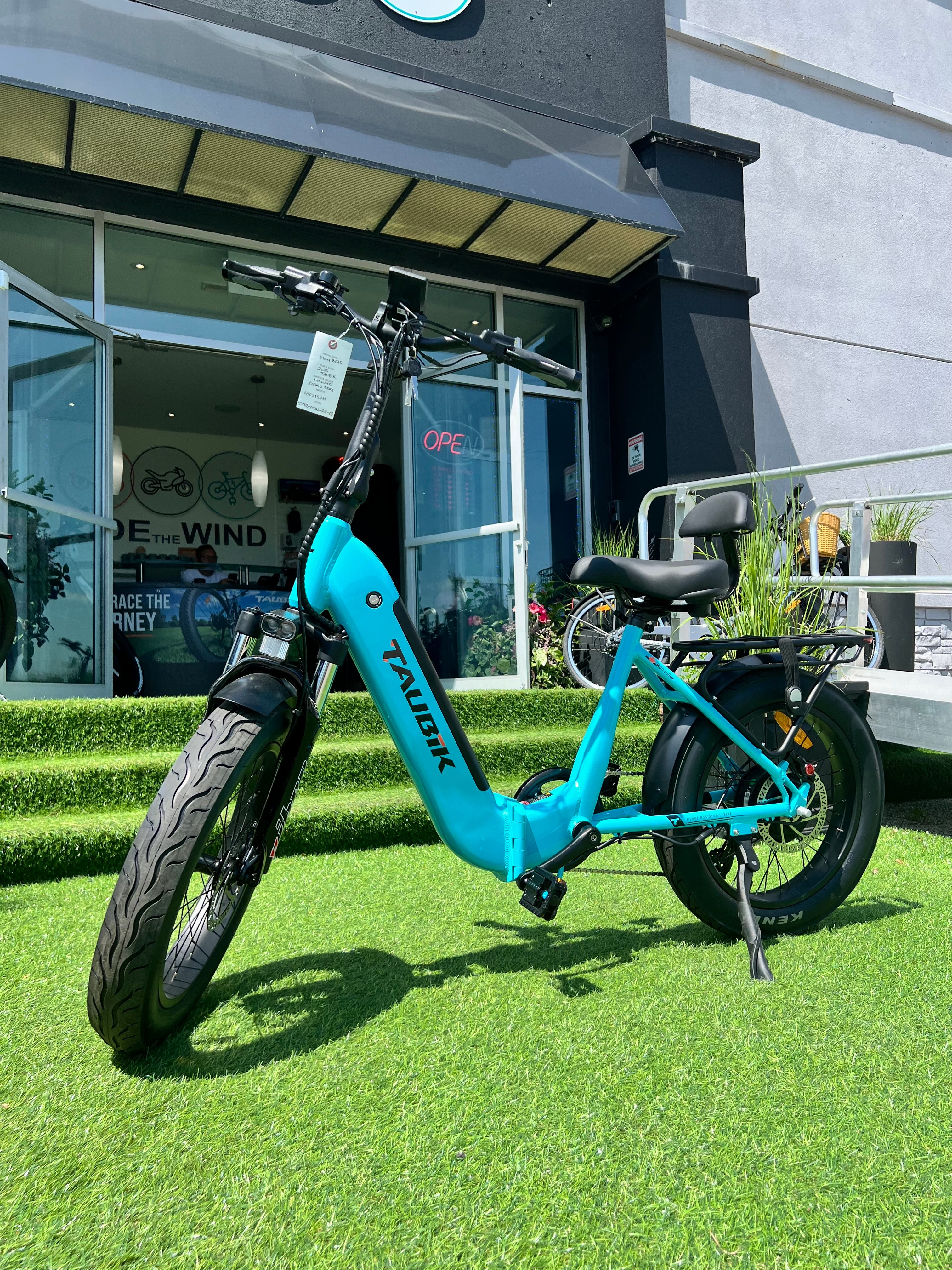 affordable electric bike