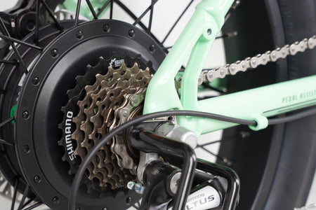 electric bicycles for adults