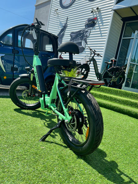 folding electric bike