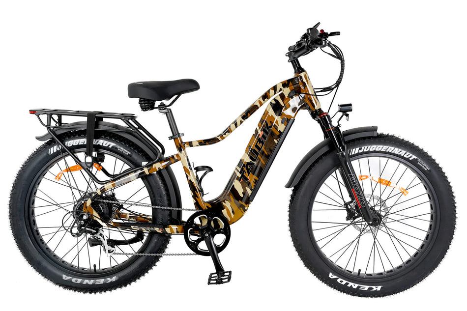 affordable e bikes