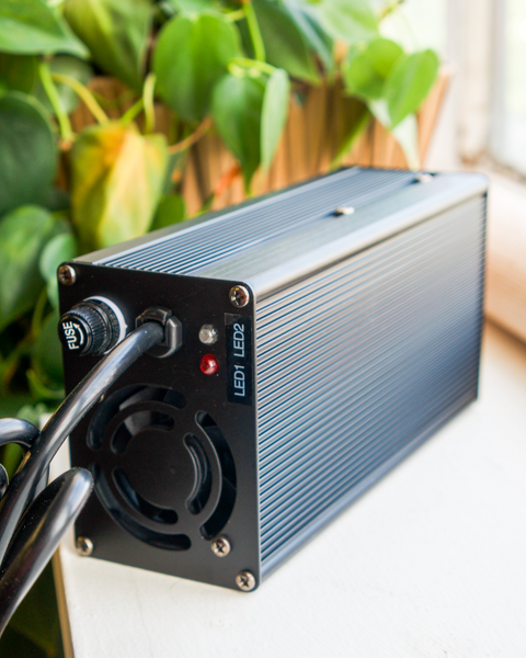 Beachman Battery Charger