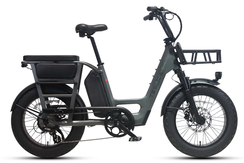 Care-Go Cargo Ebike CG2 20 Ah