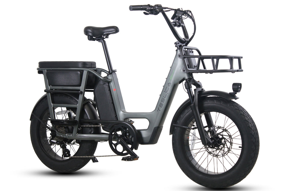 Care-Go Cargo Ebike CG2 20 Ah