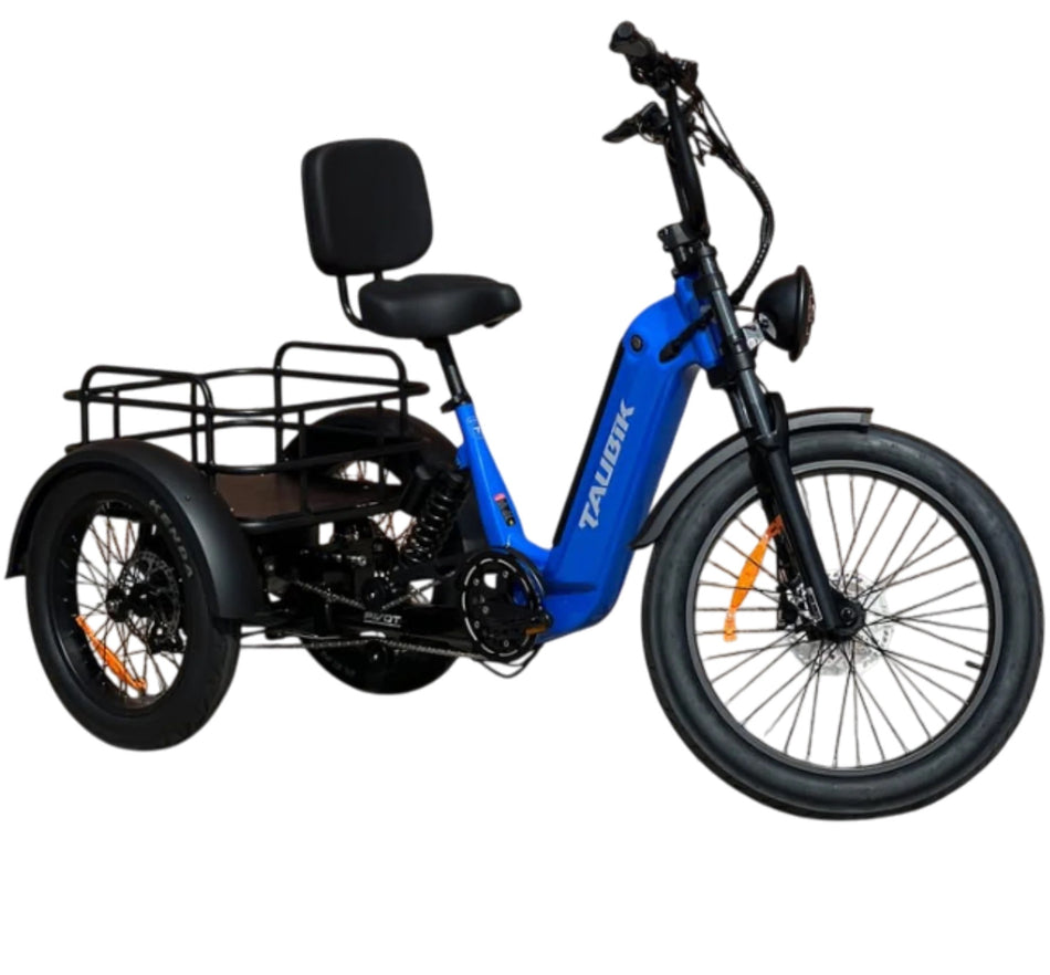 2025 Taubik PIVOT Electric Trike