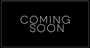 Ecolo Liberty Charger 24v lithium