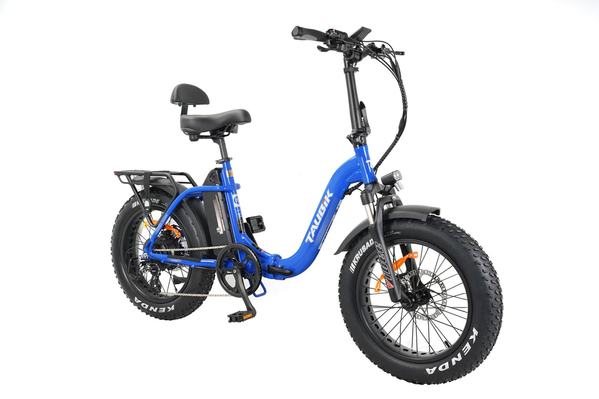 fat tyre electric bike