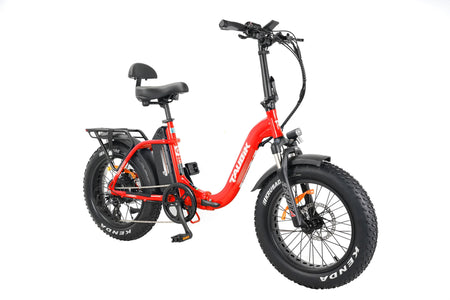electric fat bike